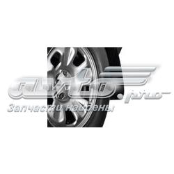 638537420R Renault (RVI) Protetores de lama dianteiros, kit