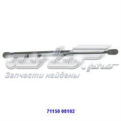7115008102 Ssang Yong Amortecedor da capota