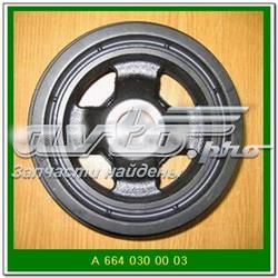 6640300003 Ssang Yong Polia de cambota