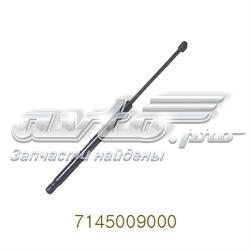 Amortecedor de tampa de porta-malas (de 3ª/5ª porta traseira) Ssang Yong 7145009000 preço, a partir de 35,47 USD