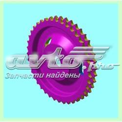 6650520301 Ssang Yong Engrenagem de cadeia da roda dentada da árvore distribuidora de motor