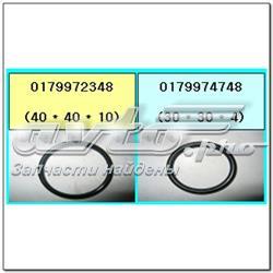 0179972348 Ssang Yong Vedante de termostato