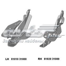 6181031000 Ssang Yong Gozno da capota esquerdo