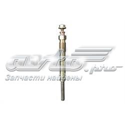CH170002 Champion
