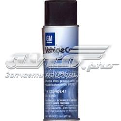 12346241 General Motors Lubrificante para os fechamentos e goznos