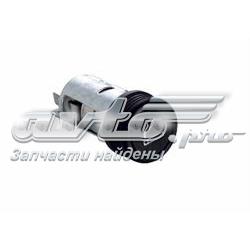 2533190J01 Nissan/Infiniti Acendedor de cigarros