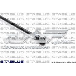 Amortecedor de tampa de porta-malas (de 3ª/5ª porta traseira) Stabilus 138654