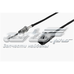 AG9112B591AA Ford Sensor de temperatura dos gases de escape (GE), no catalisador