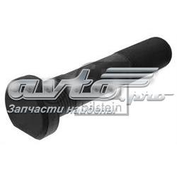 43538 Febi 