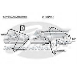 Compre S2431542200 Hyundai/Kia Correia do mecanismo de distribuição de gás