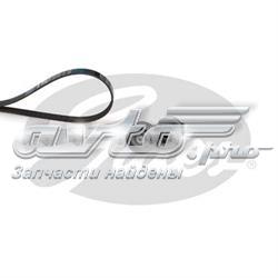 Correia dos conjuntos de transmissão, kit Dayco KPV150 preço, a partir de 88,64 USD