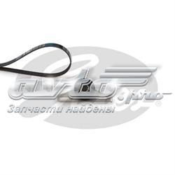 Compre 8660004401 Renault (RVI) Correia dos conjuntos de transmissão, kit