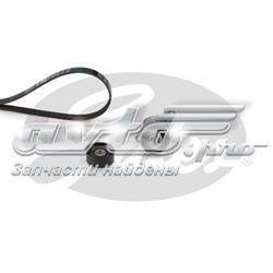 Correia dos conjuntos de transmissão, kit Renault (RVI) 7711946467 preço, a partir de 111,04 USD