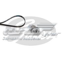 Correia dos conjuntos de transmissão, kit Renault (RVI) 117209782R preço, a partir de 51,20 USD
