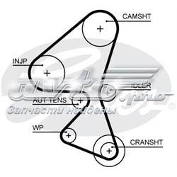 Correia do mecanismo de distribuição de gás Peugeot/Citroen 00000816L0