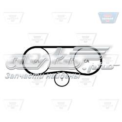 Correia do mecanismo de distribuição de gás Continental/Siemens CT944 preço, a partir de 15,23 USD