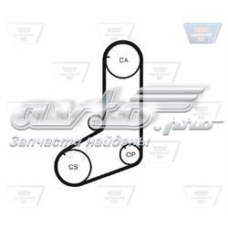 Correia do mecanismo de distribuição de gás 2431232560 Hyundai/Kia