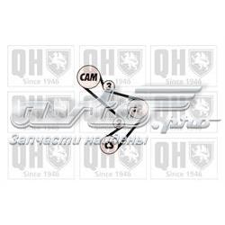 Correia do mecanismo de distribuição de gás Fiat/Alfa/Lancia 7303414 preço, a partir de 40,93 USD