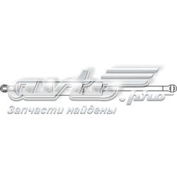 Amortecedor de tampa de porta-malas (de 3ª/5ª porta traseira) ZSA05019 Ashika