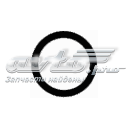00000348T8 Peugeot/Citroen Vedante de tubo coletor de admissão