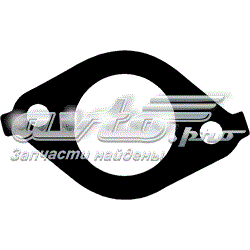 702939600 Victor Reinz