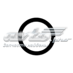 Vedante de tubo coletor de admissão 00000348R4 Peugeot/Citroen