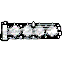 612443020 Victor Reinz Vedante de cabeça de motor (CBC)