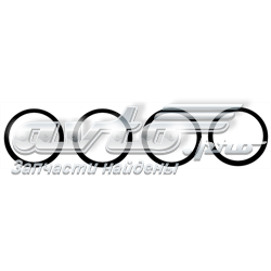 Vedante de tubo coletor de admissão Opel 850516