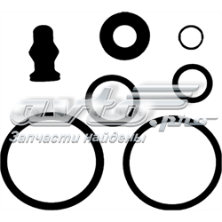 153864201 Victor Reinz