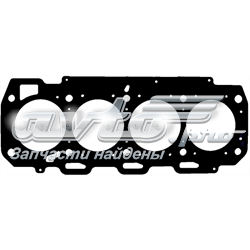 613558010 Victor Reinz Vedante de cabeça de motor (CBC)