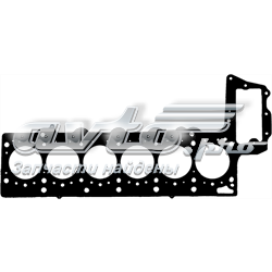 613764510 Victor Reinz Vedante de cabeça de motor (CBC)