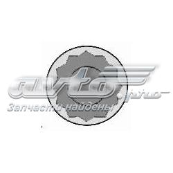 252501159912 Tata Parafuso de cabeça de motor (CBC)