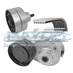 KPV023HD Dayco Correia dos conjuntos de transmissão, kit