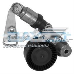 APV3022 Dayco