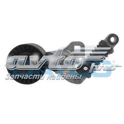 Compre APV2458 Dayco Reguladora de tensão da correia de transmissão