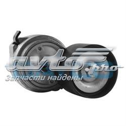 Compre APV1093 Dayco Reguladora de tensão da correia de transmissão