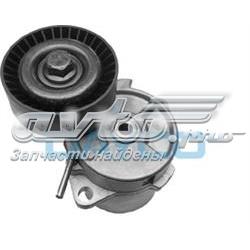 APV2231 Dayco
