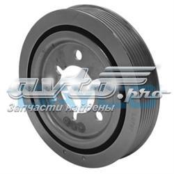  Dayco DPV1029