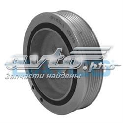 DPV1032 Dayco Polia de cambota