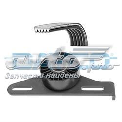 Correia dos conjuntos de transmissão, kit 8660004401 Renault (RVI)