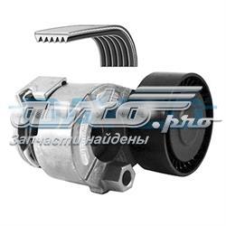Compre 117209782R Renault (RVI) Correia dos conjuntos de transmissão, kit