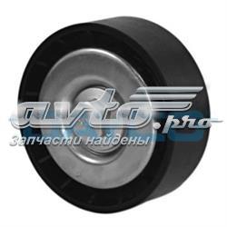 APV1068 Dayco Rolo parasita da correia de transmissão