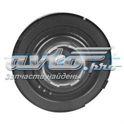 DPV1073 Dayco Polia de cambota