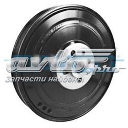 DPV1077 Dayco Polia de cambota