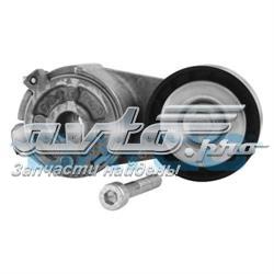 APV2479 Dayco