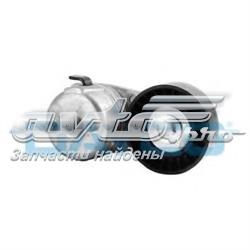 Reguladora de tensão da correia de transmissão Chrysler 4854089AB preço, a partir de 60,25 USD