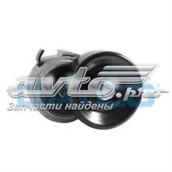 APV2489 Dayco