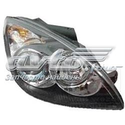 8243964 VAN Wezel Luz direita