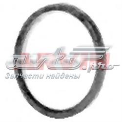 410211 Arvin Tesh