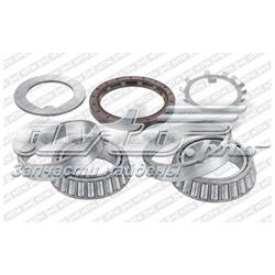 R14196 SNR Rolamento de cubo traseiro